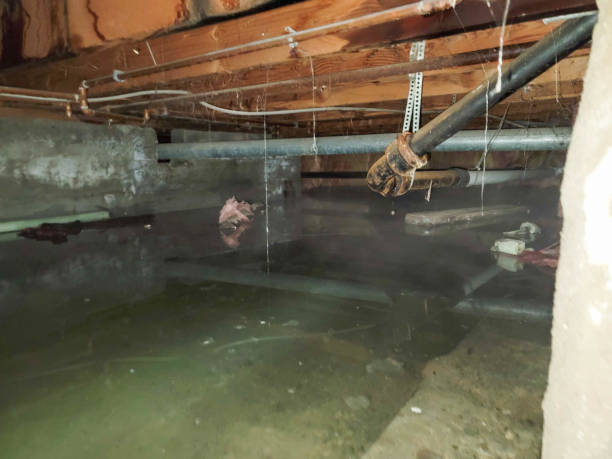 Best Water damage repair service  in Lakewood, NY