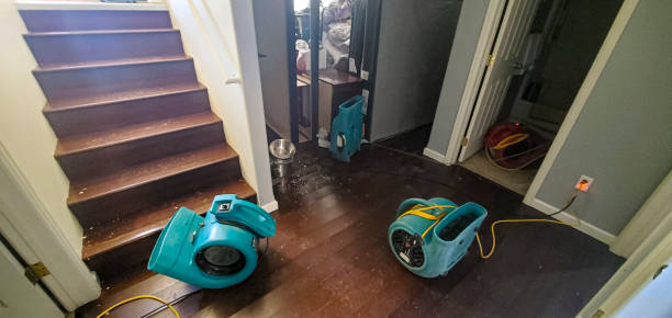 Best Fire Damage Restoration  in Lakewood, NY