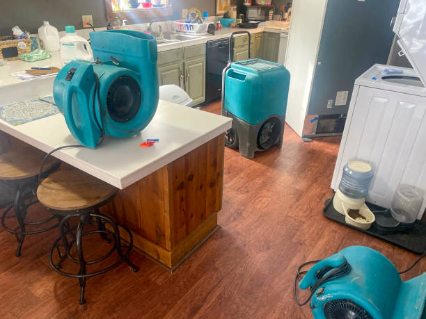 Best 24/7 water damage repair  in Lakewood, NY