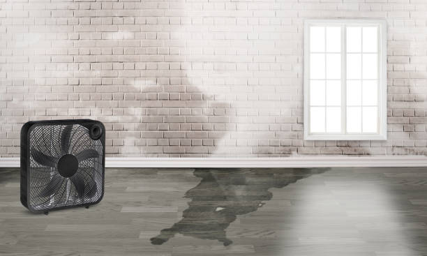 Reliable Lakewood, NY Water damage restoration Solutions