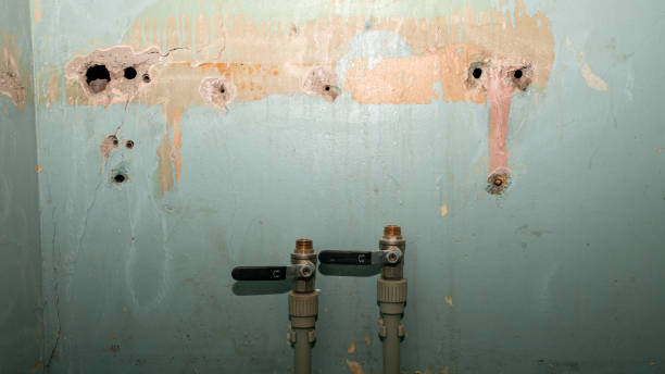Best Residential water damage restoration  in Lakewood, NY