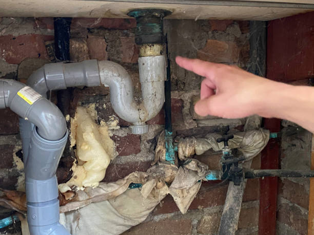 Best Professional water damage repair  in Lakewood, NY