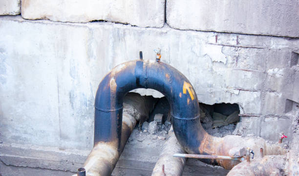 Best Carpet water damage restoration  in Lakewood, NY